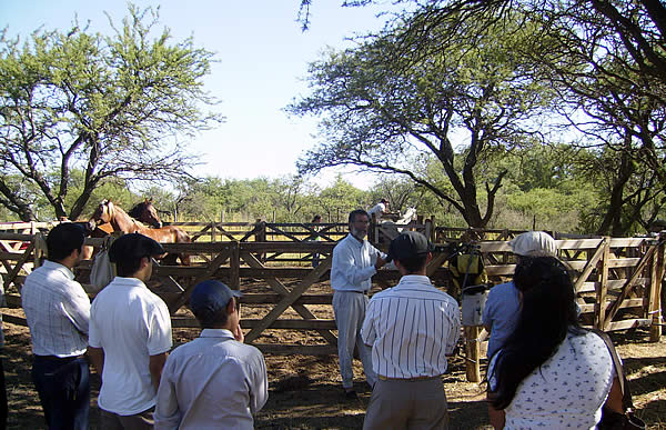 FOTO: Curso de Monta India.