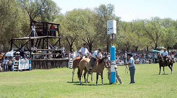 FOTO: Doma y Jineteada - 40° Edición Fiesta Provincial de la Ganadería