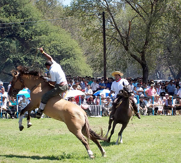 FOTO: Doma y Jineteada - 40° Edición Fiesta Provincial de la Ganadería