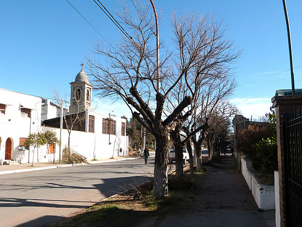 Continúan los trabajos de poda de arbolado urbano