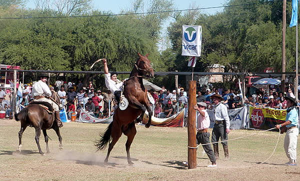 Fiesta Nacional de la Ganadería