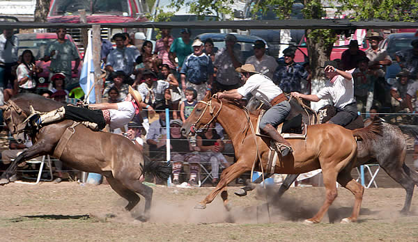 Fiesta Nacional de la Ganadería