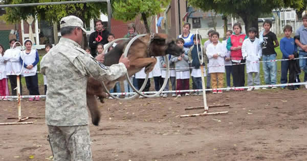 Día del Animal en la Escuela Nº 7