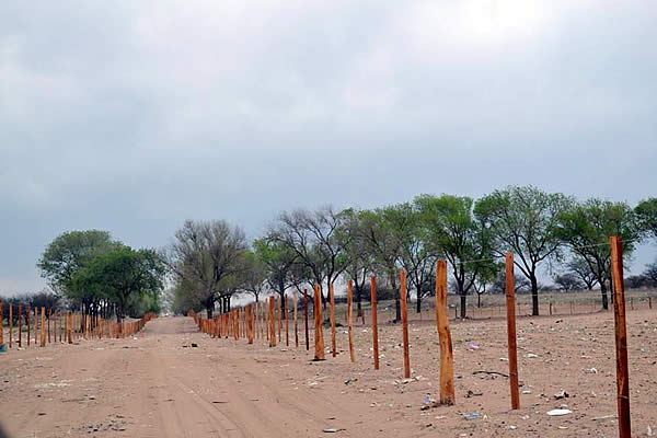 Grandes Obras en ejecución