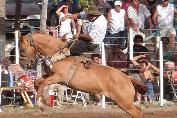 Fiesta Nacional de la Ganadería