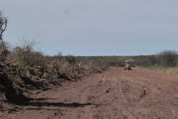 Kenny recorre obras