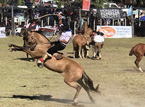 Fiesta Nacional de la Ganadería del Oeste Pampeano