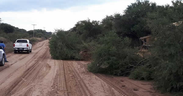 Desmonte y limpieza de caminos vecinales