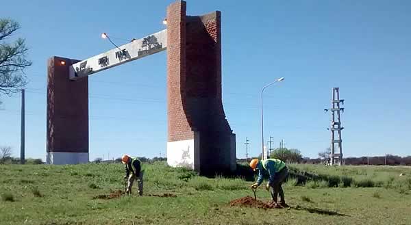 Forestación en Ruta 10