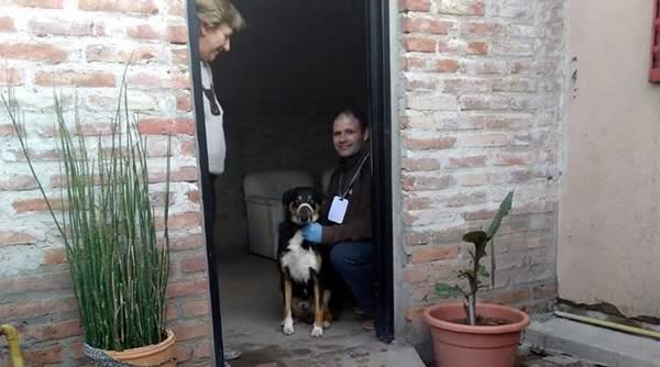 Concientización y Educación sobre Tenencia Responsable de Mascotas