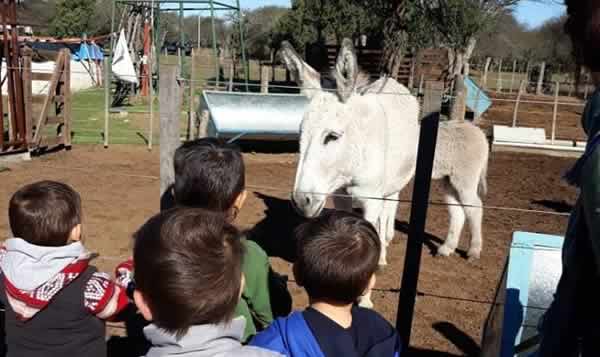 Centro de Desarrollo Infantil Upa La La