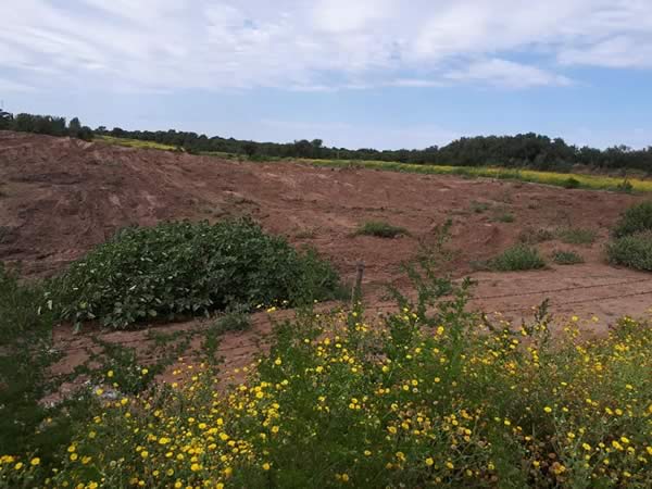 Desmonte y nivelado de terrenos