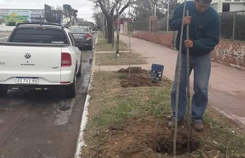 se plantaron más de 500 especies arbóreas